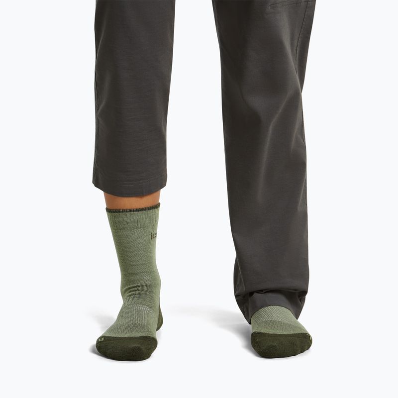 Шкарпетки жіночі Icebreaker Merino Hike+ Light Crew lichen/dark loden 3