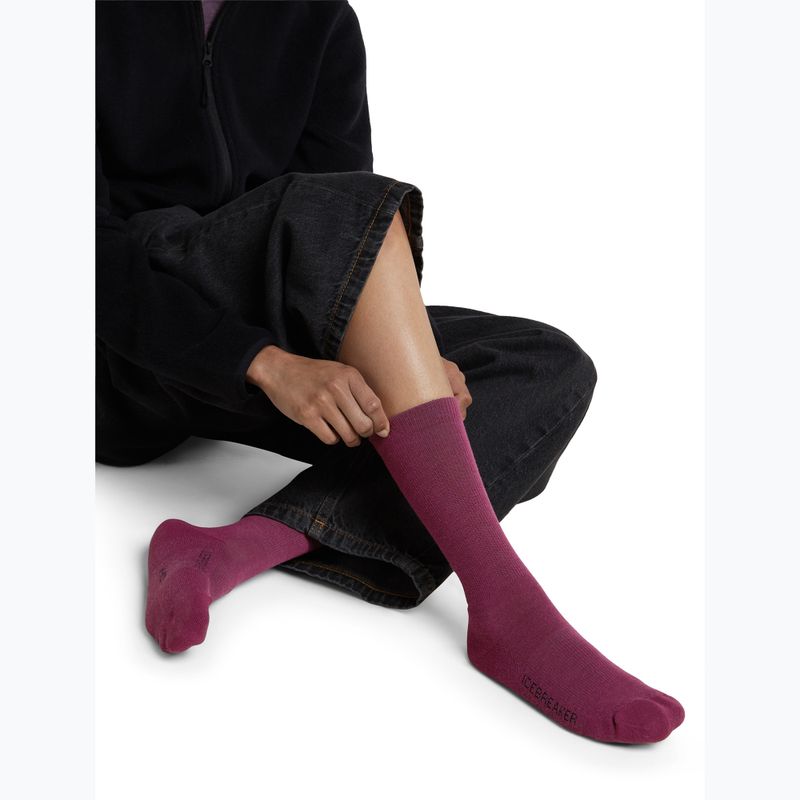 Шкарпетки жіночі Icebreaker Merino Lifestyle Light Crew dark berry 4