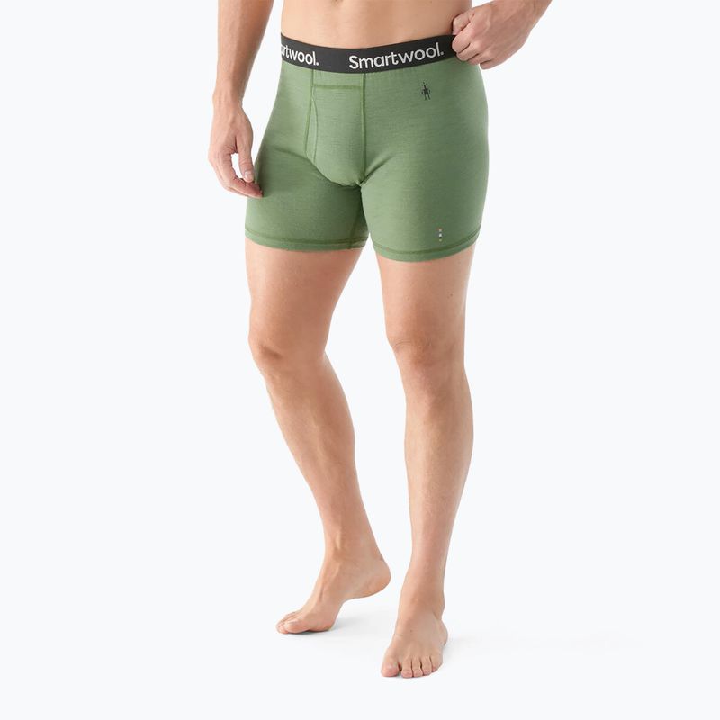 Чоловічий термобоксер Smartwool Merino Boxer Термобоксер короткий боксерський папороть зелений 2