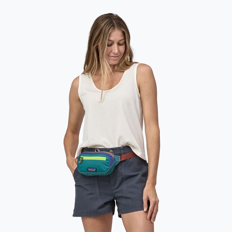 Patagonia Ultralight Black Hole Mini Hip Pack 1 л печворк/субтидний синій підсумок для нирок 3