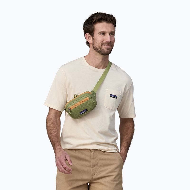 Patagonia Ultralight Black Hole Mini Hip Pack 1 л мішок для нирок із зеленої крушини 2