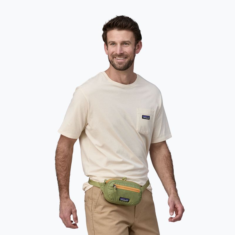 Patagonia Ultralight Black Hole Mini Hip Pack 1 л мішок для нирок із зеленої крушини 3