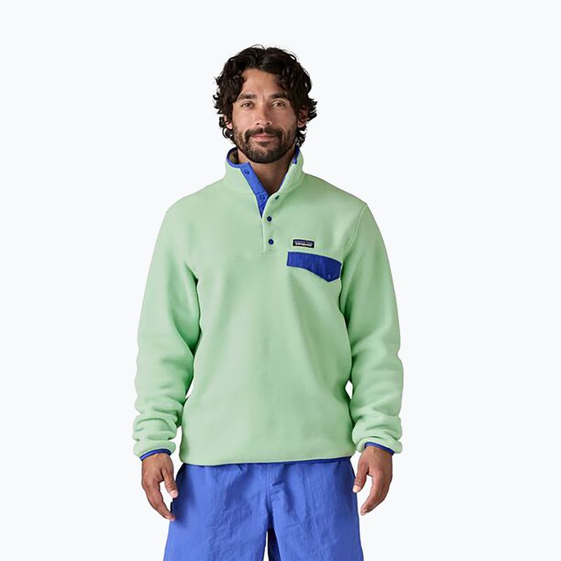 Кофта трекінгова чоловіча Patagonia LW Synch Snap-T P/O rinsed green