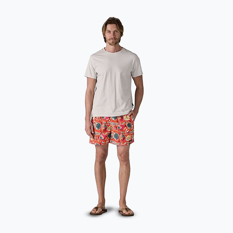 Шорти чоловічі Patagonia Baggies 5" wrasse/pollinator orange 2
