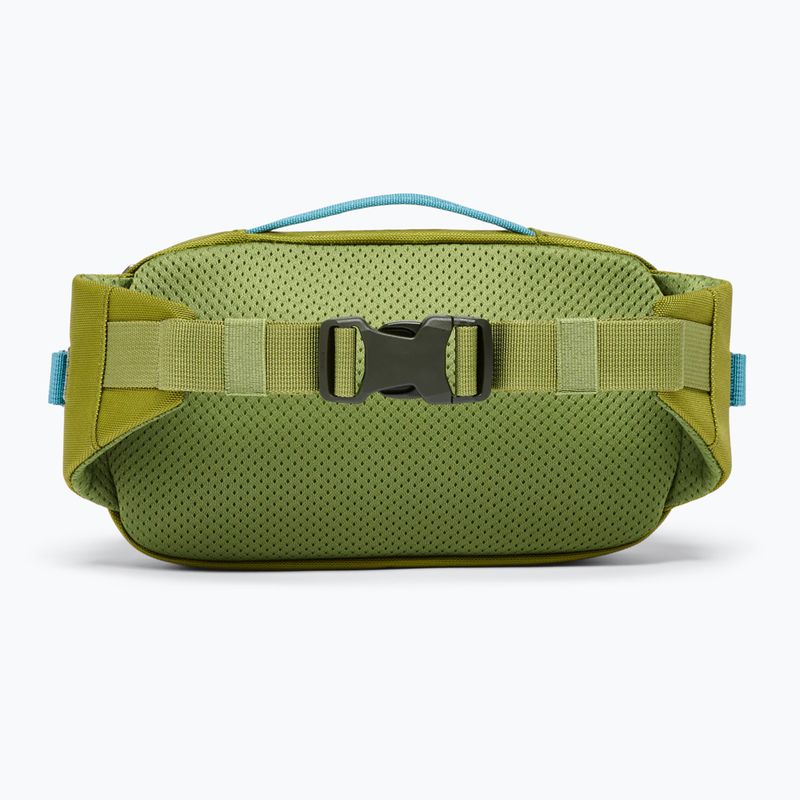 Сумка-бананка Cotopaxi Allpa X Hip Pack 1,5 л lemongrass/cedar 4