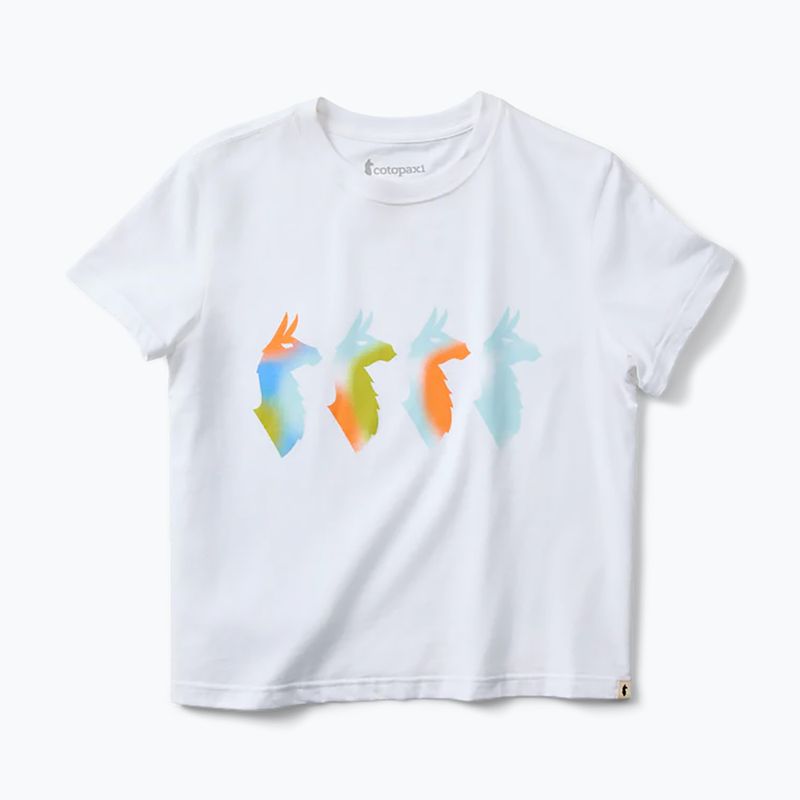 Футболка жіноча Cotopaxi Cuatro Bitmap white 5