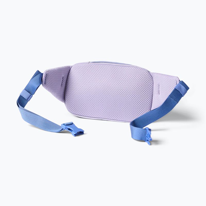 Сумка бананка Cotopaxi Allpa X Hip Pack 1,5 L moonbeam 2