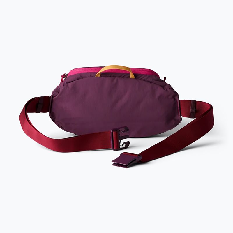 Сумка бананка Cotopaxi Empcable Sling 3 l acai 3