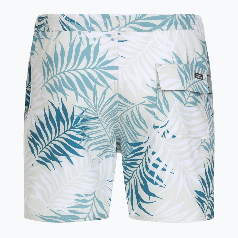 Шорти для плавання чоловічі Quiksilver Wild Fern Volley 17" 2