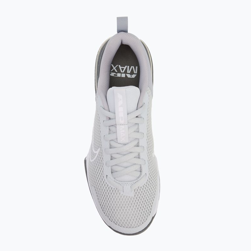 Кросівки для тренувань чоловічі Nike Air Max Alpha Trainer 6 cool grey/wolf grey/pure platinum/white 5