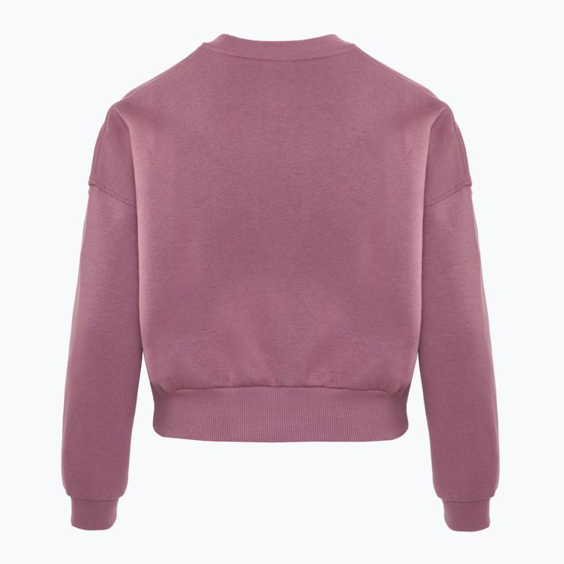 Кофта дитяча Nike Sportswear Club Fleece plum dust/light wild mango 2