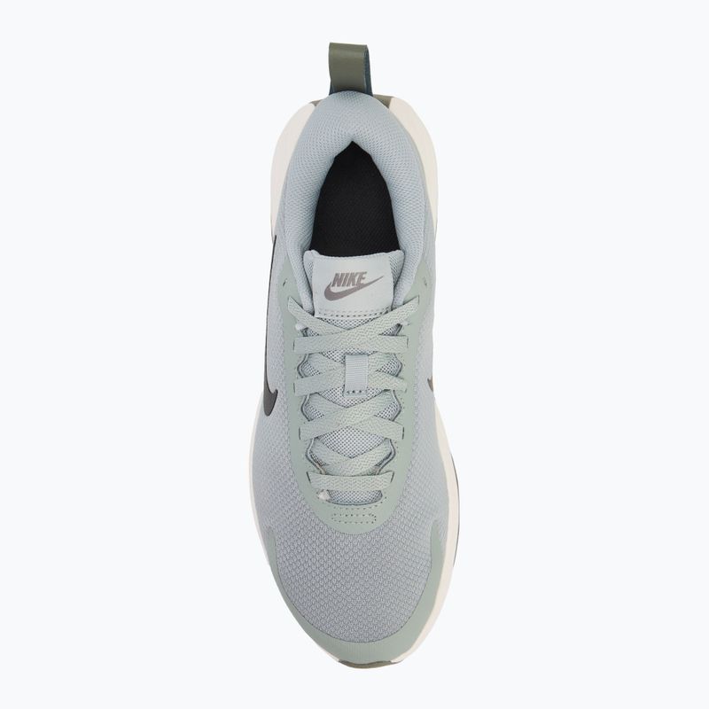 Кросівки чоловічі Nike Promina light pumice/dark stucco/summit white/anthracite 5