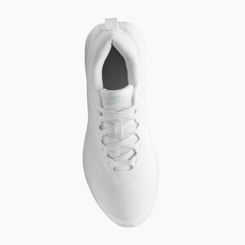 Чоловічі кросівки Nike Promina white/pure platinum 6