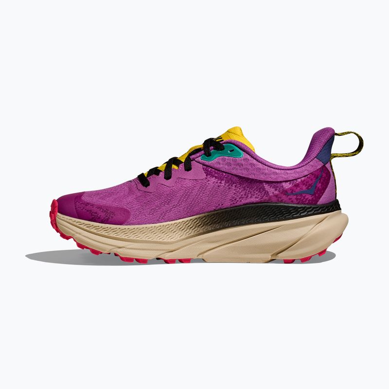 Кросівки для бігу жіночі HOKA Challenger 7 GTX superbloom/oatmeal 3