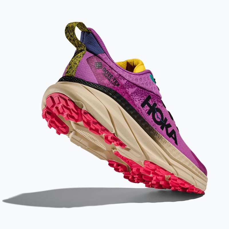 Кросівки для бігу жіночі HOKA Challenger 7 GTX superbloom/oatmeal 5