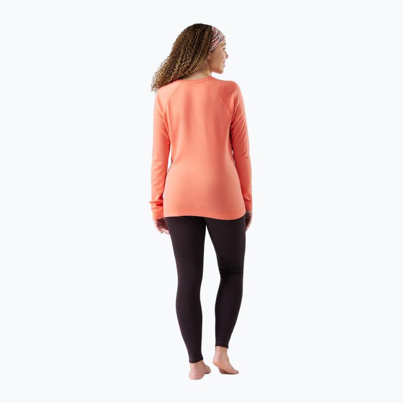 Жіноча термоактивна кофта Smartwool Merino 250 Baselayer Crew Boxed coral reef 2
