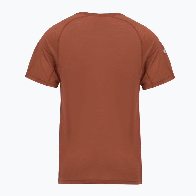 Футболка термічна чоловіча Smartwool Merino Sport 120 burnt sienna 2