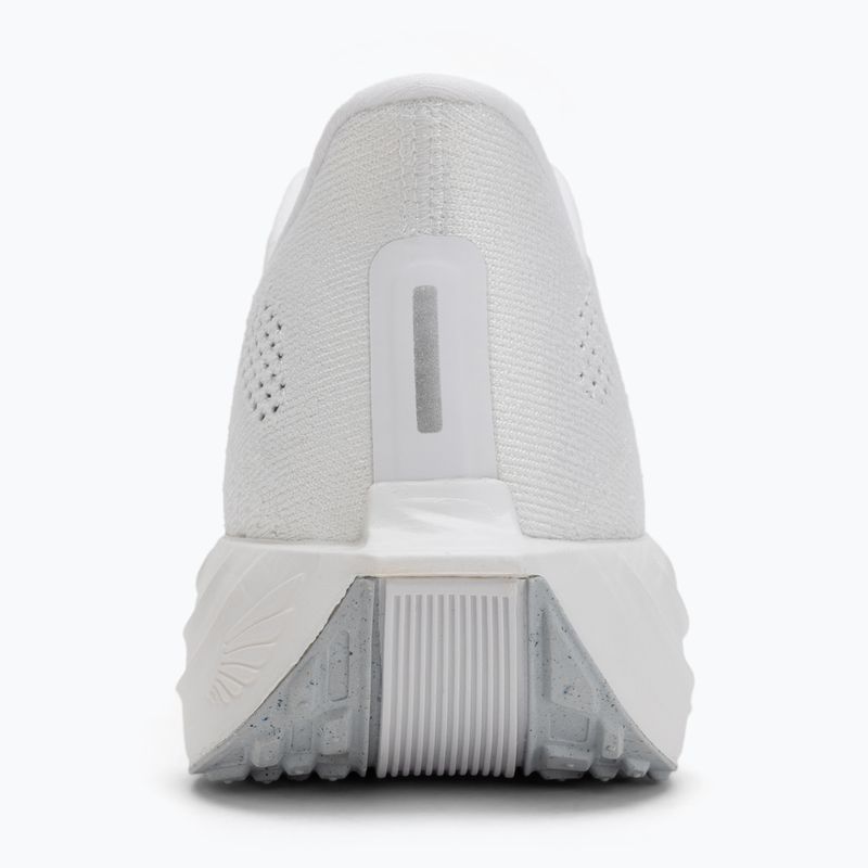 Кросівки для бігу чоловічі Nike Pegasus Plus white / pure platinum / wolf grey 6