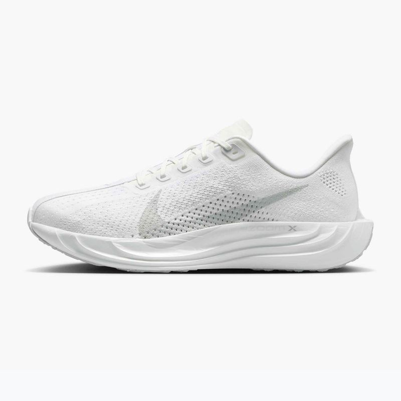 Кросівки для бігу чоловічі Nike Pegasus Plus white / pure platinum / wolf grey 2