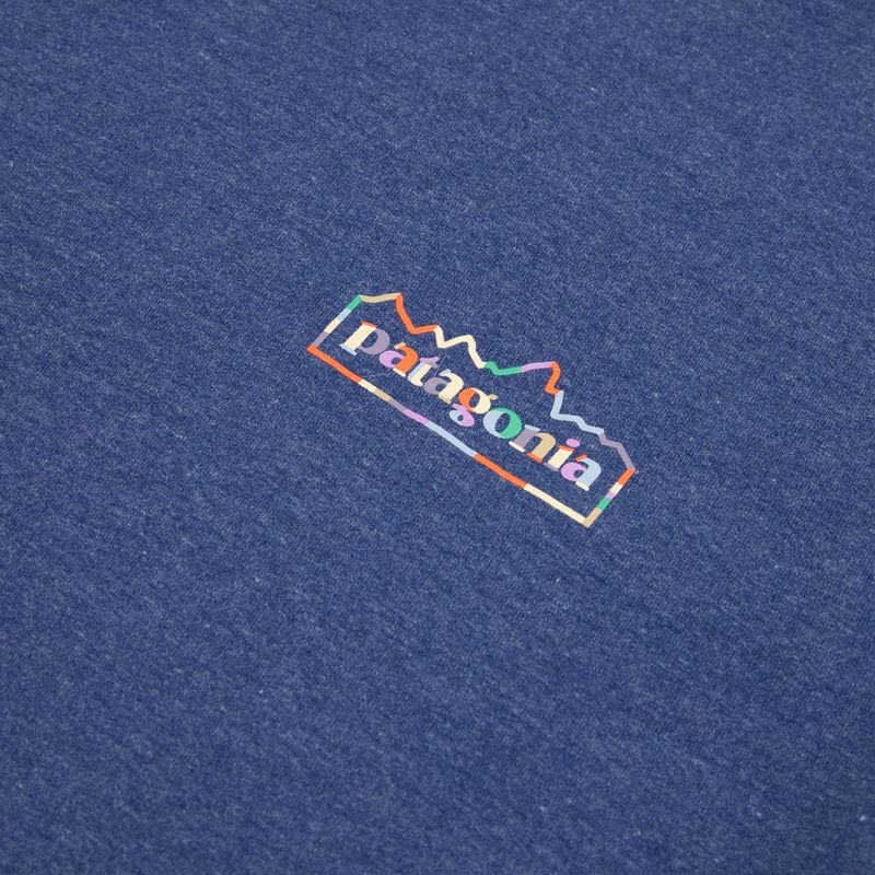 Кофта чоловіча Patagonia Lightweight Unity Fitz Wildrise Crew clement blue 3