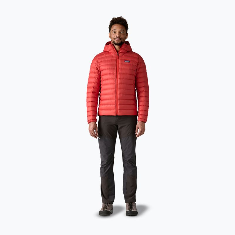 Пуховик чоловічий Patagonia Down Sweater Hoody amanita red 2