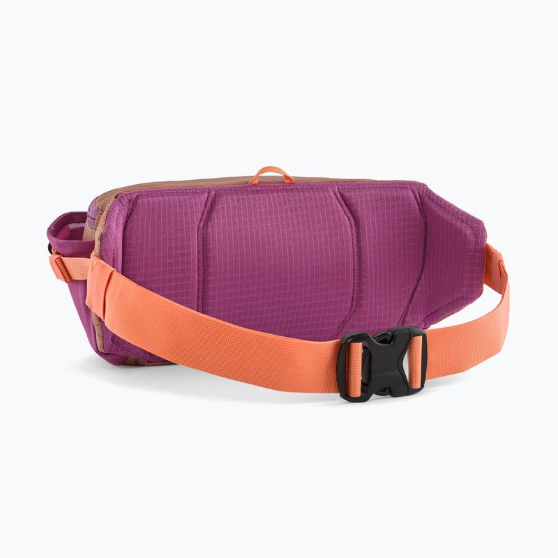 Сумка на пояс Patagonia Black Hole Waist Pack 5 l peach sherbet 2