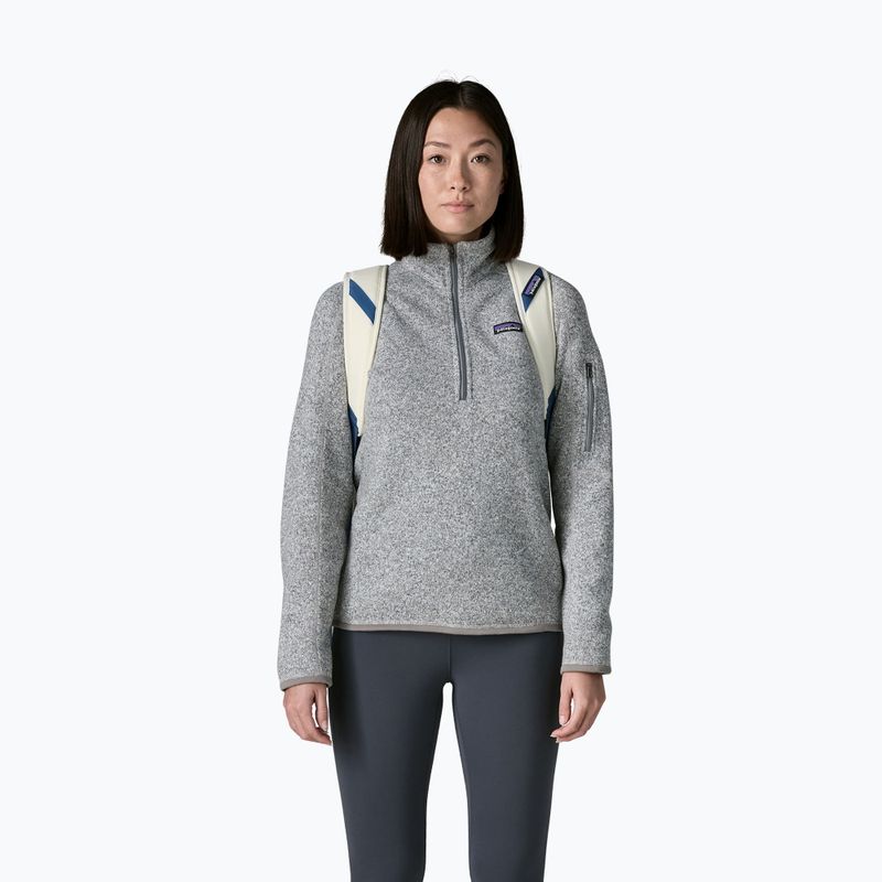 Сумка дорожня Patagonia Black Hole Duffel 40 л birch white 4