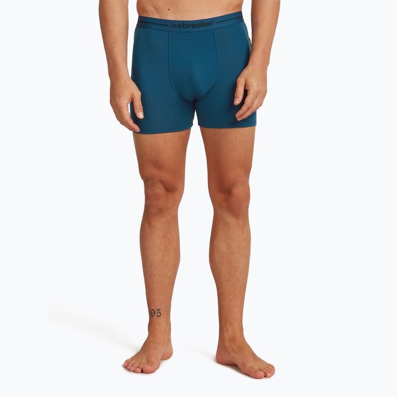 Чоловічі термошорти-боксери криголам Anatomica atlantis 2
