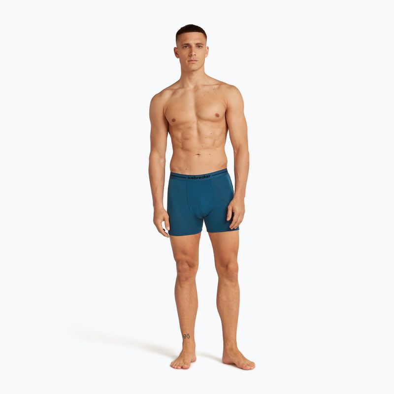 Чоловічі термошорти-боксери криголам Anatomica atlantis 3