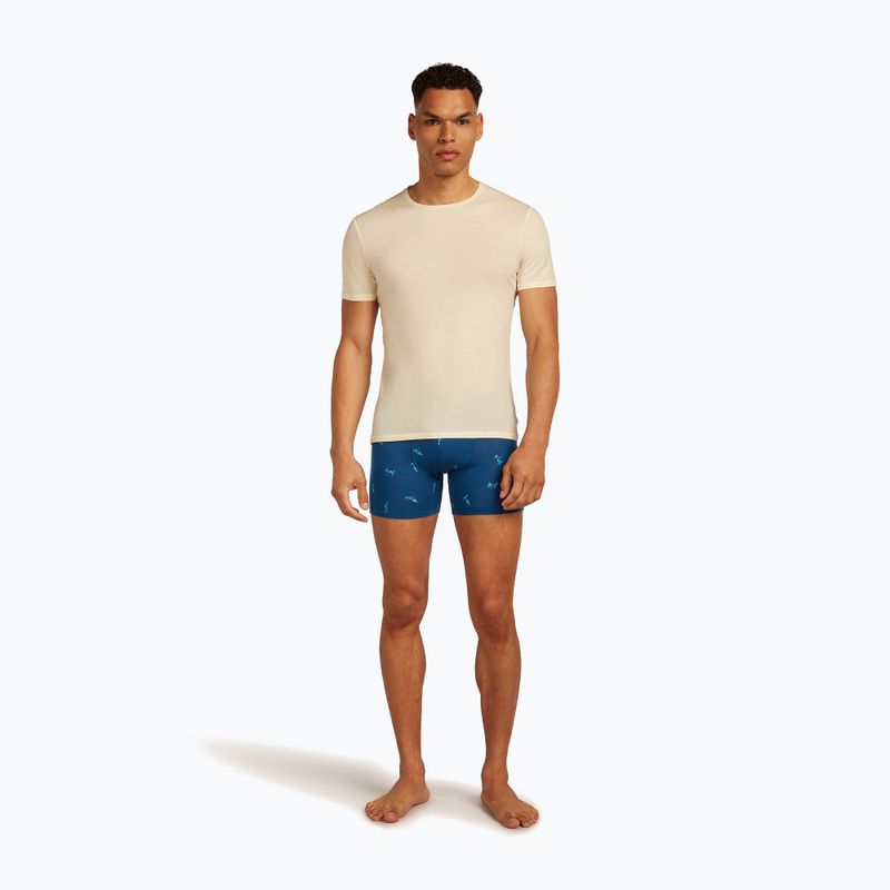 Труси термічні чоловічі icebreaker Anatomica Snow Day atlantis/topaz/aop 5