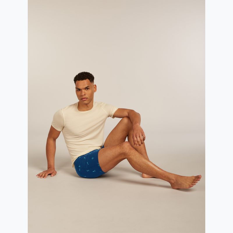 Труси термічні чоловічі icebreaker Anatomica Snow Day atlantis/topaz/aop 8