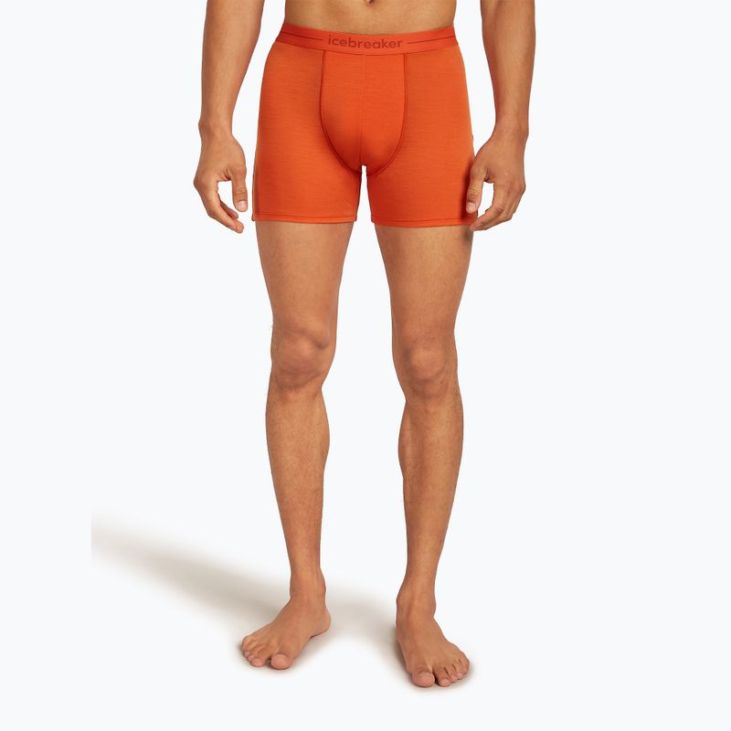 Труси термічні чоловічі icebreaker Anatomica fervid 2