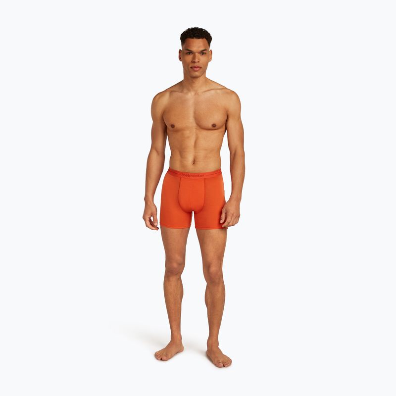 Чоловічі термошорти-боксер льодохід Anatomica fervid 3