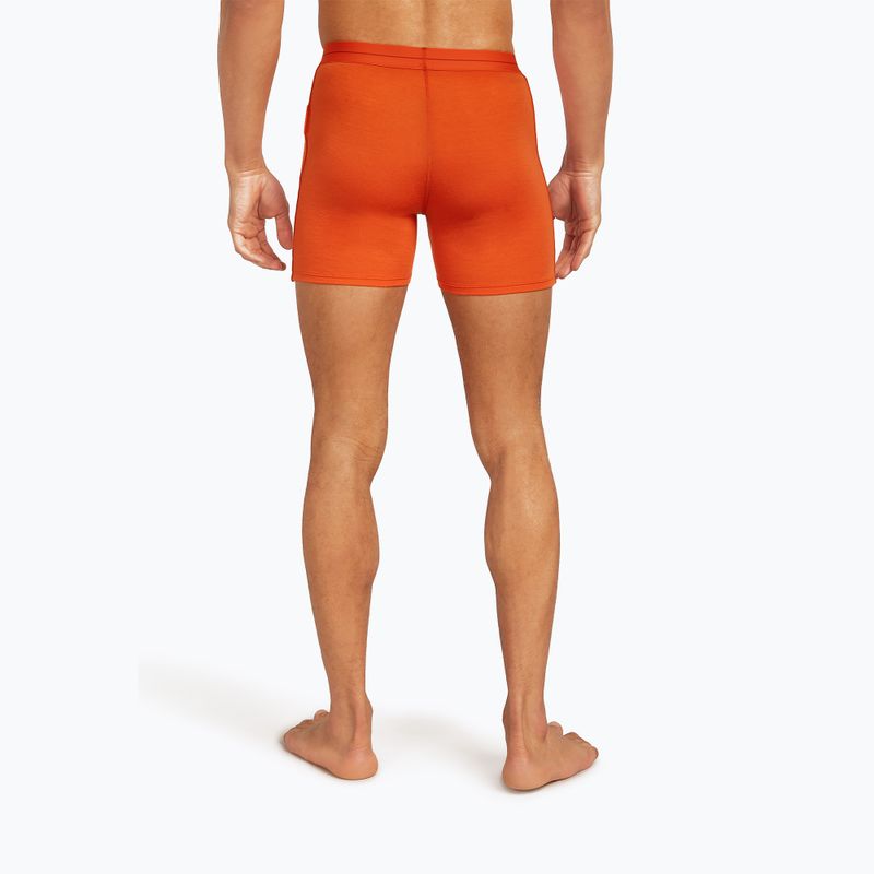 Труси термічні чоловічі icebreaker Anatomica fervid 4