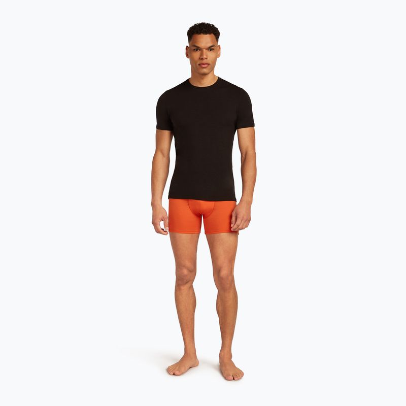 Труси термічні чоловічі icebreaker Anatomica fervid 6