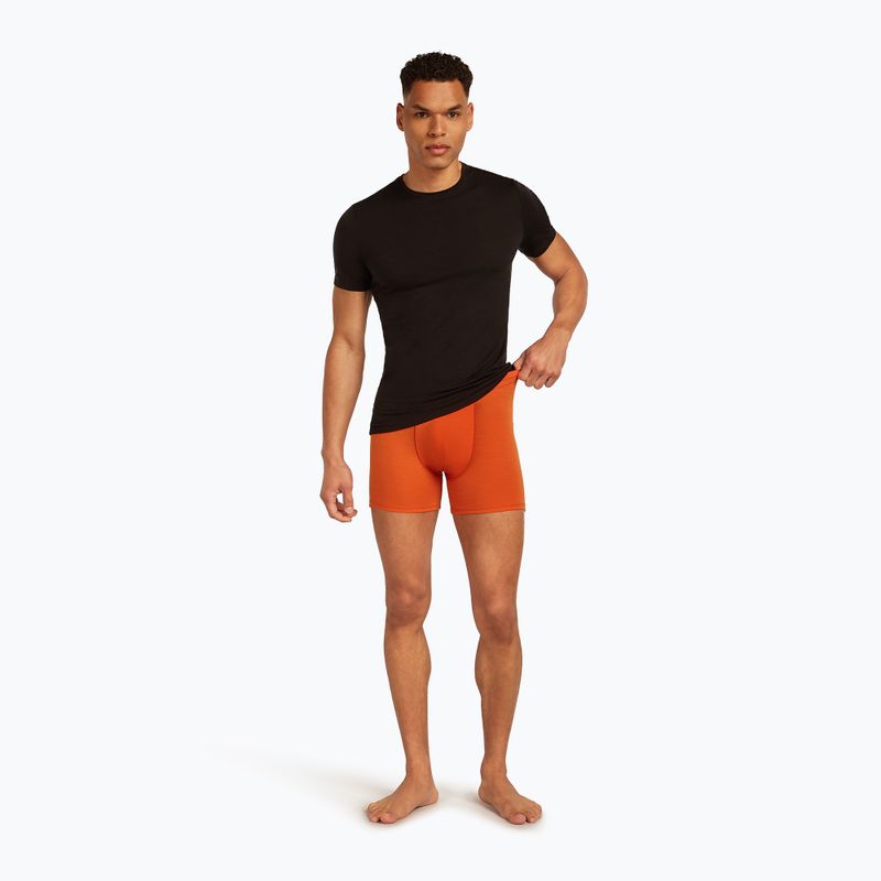 Труси термічні чоловічі icebreaker Anatomica fervid 7