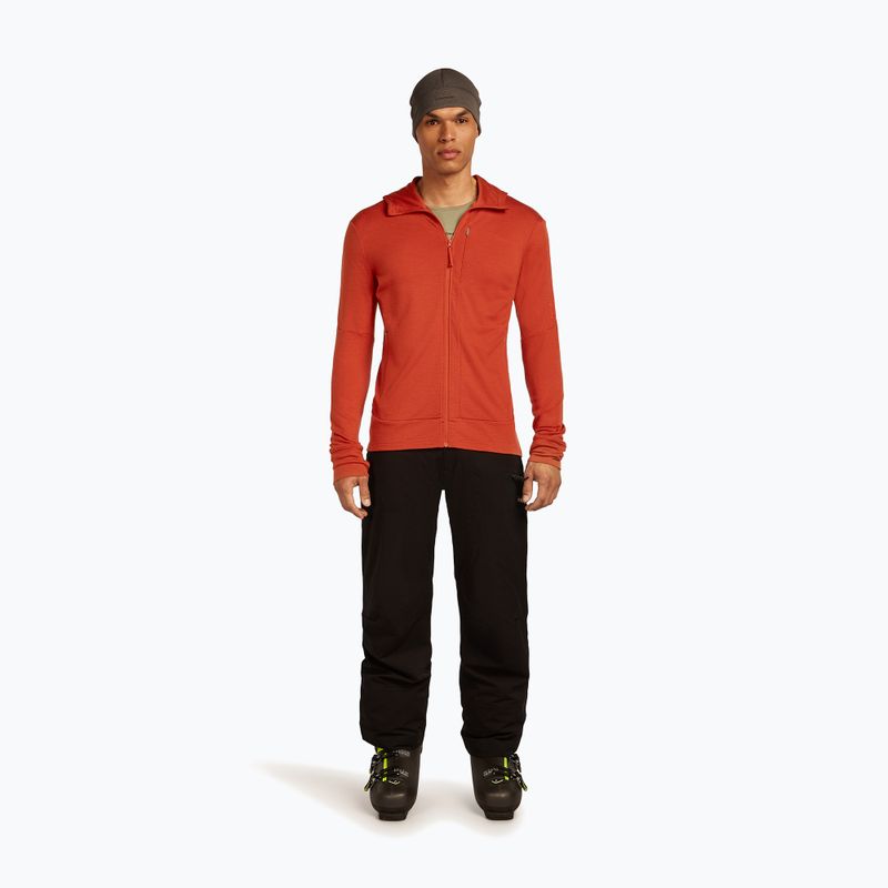 Кофта чоловіча icebreaker Merino 260 Quantum IV Zip Hoodie agate 2