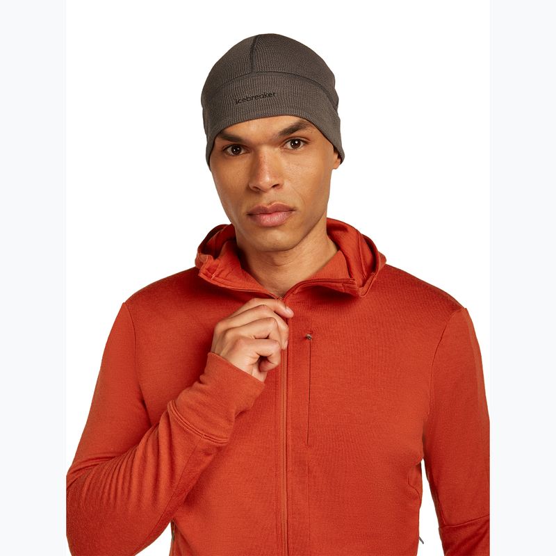 Чоловіча толстовка Merino 260 Quantum IV Zip Hoodie агатовий 6