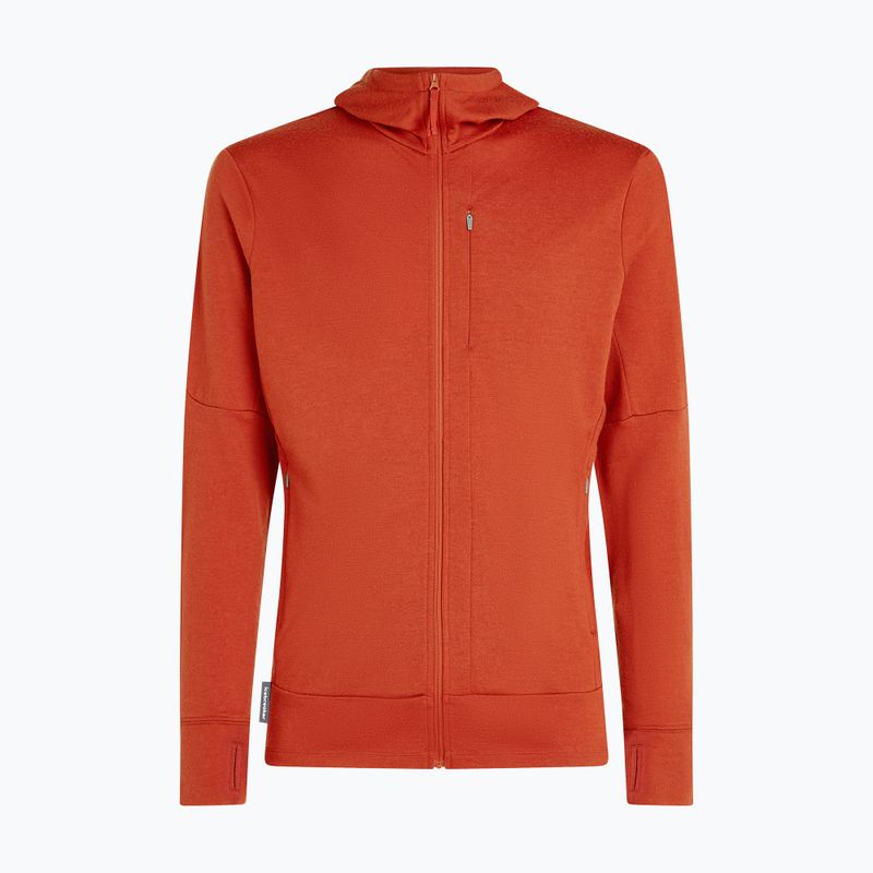 Чоловіча толстовка Merino 260 Quantum IV Zip Hoodie агатовий 10