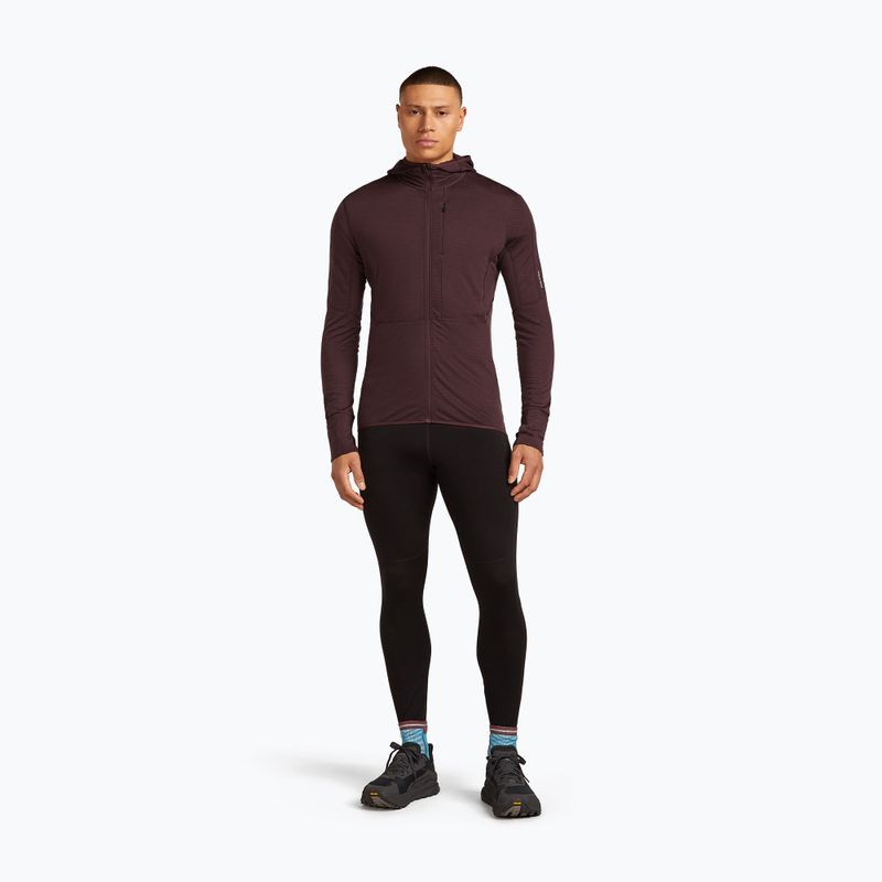 Чоловічий трекінговий світшот Icebreaker Merino 200 RealFleece Descender Zip Hoodie java з капюшоном 2