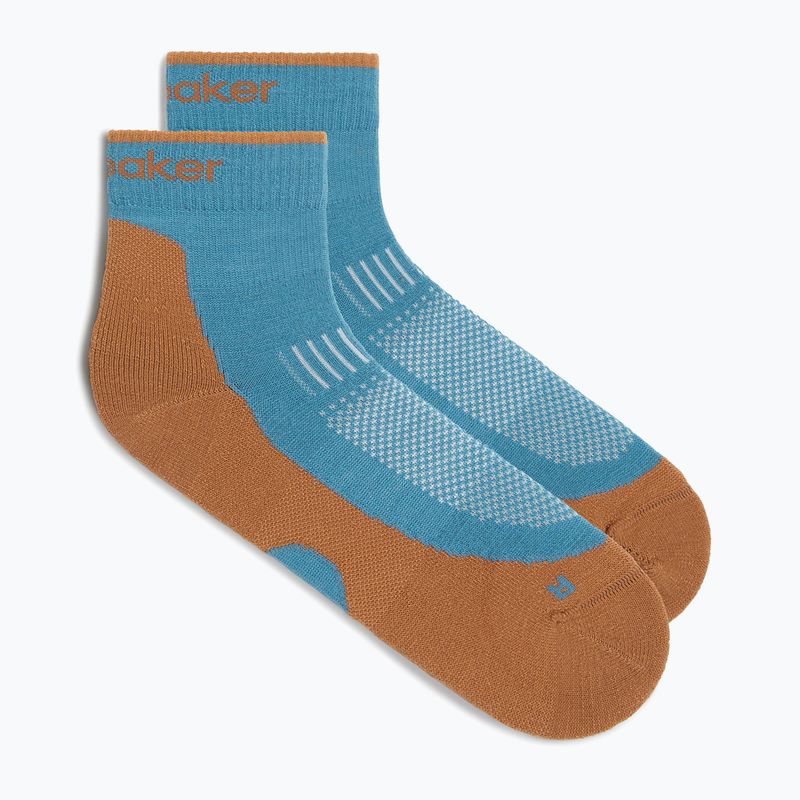 Шкарпетки чоловічі Icebreaker Merino Hike+ Light Mini topaz/trail 2