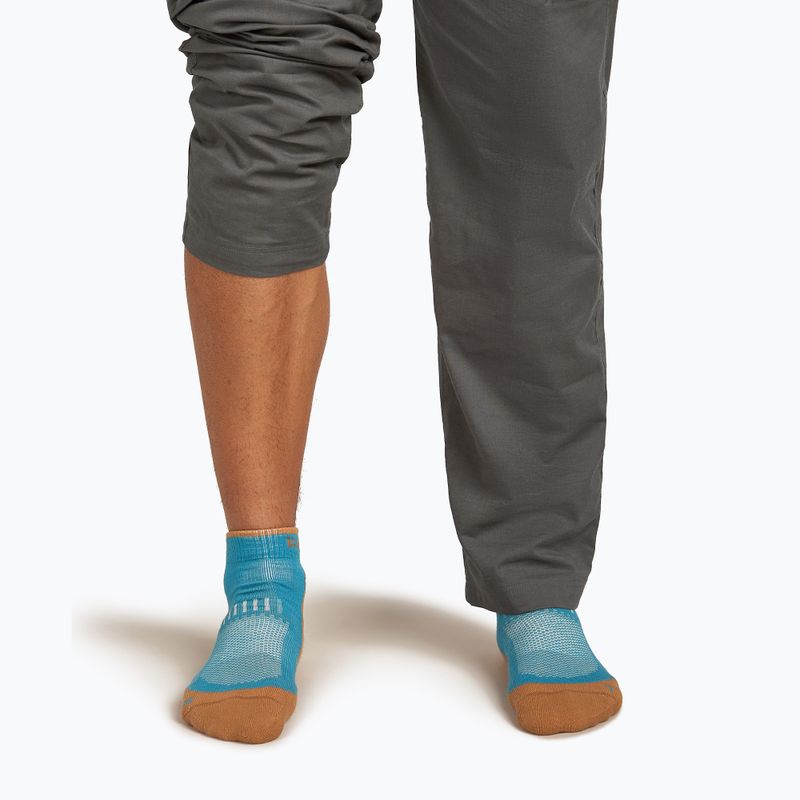 Шкарпетки чоловічі Icebreaker Merino Hike+ Light Mini topaz/trail 4