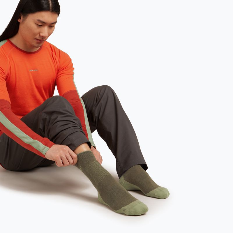 Шкарпетки чоловічі icebreaker Merino Hike+ Medium Crew loden/lichen 3