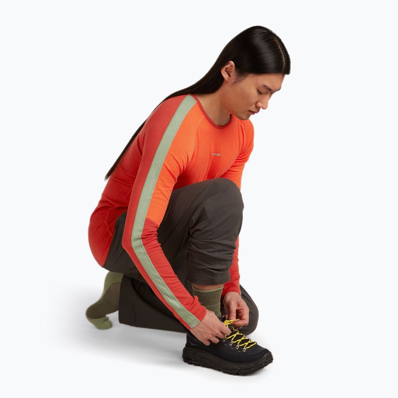 Шкарпетки чоловічі icebreaker Merino Hike+ Medium Crew loden/lichen 5