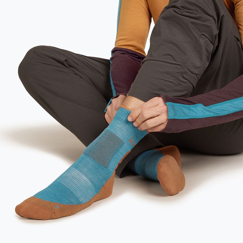 Шкарпетки чоловічі icebreaker Merino Hike+ Medium Crew topaz/trail 3