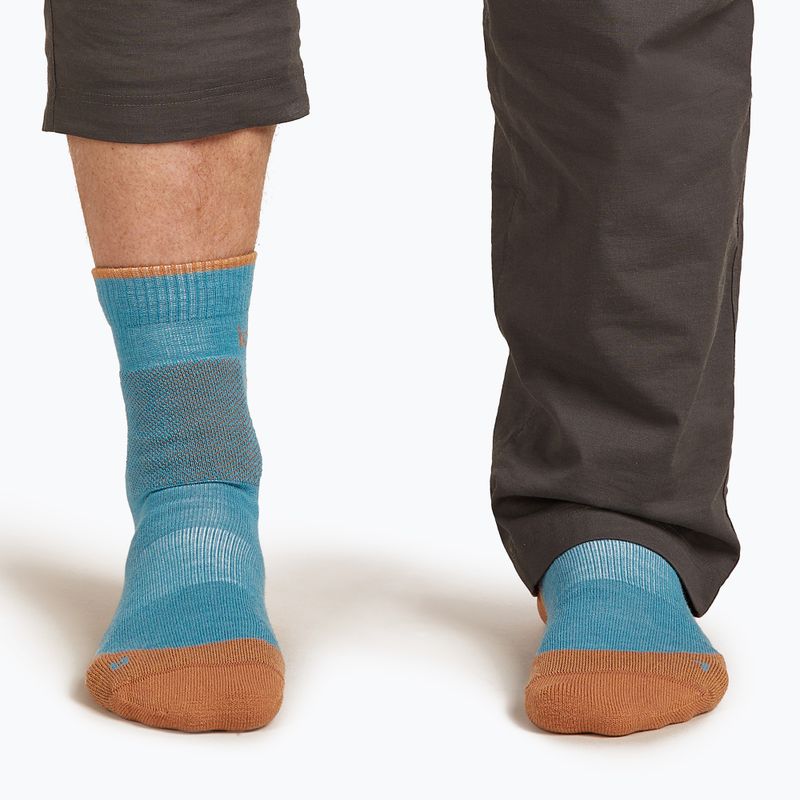 Шкарпетки чоловічі icebreaker Merino Hike+ Medium Crew topaz/trail 4