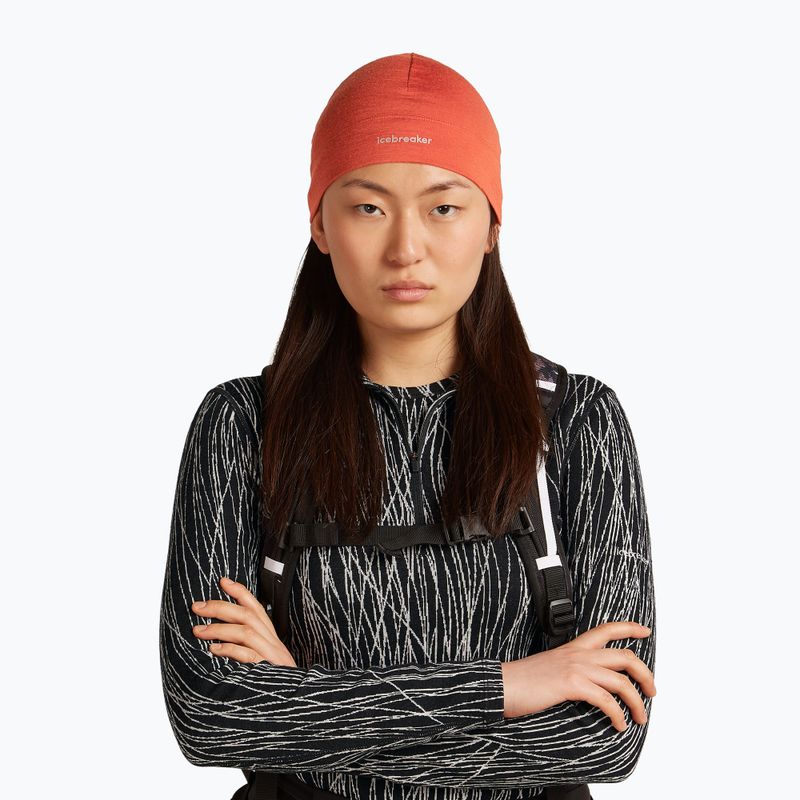 Шапка зимова icebreaker Merino 200 Oasis Beanie agate 2