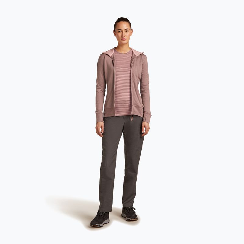 Льодолазка жіноча Merino 260 Quantum IV Zip Hoodie вершина/рум'янець 2