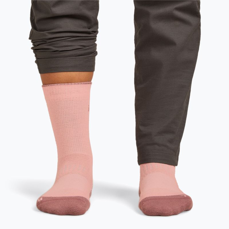 Шкарпетки жіночі icebreaker Merino Hike+ Light Crew blush/summit 4