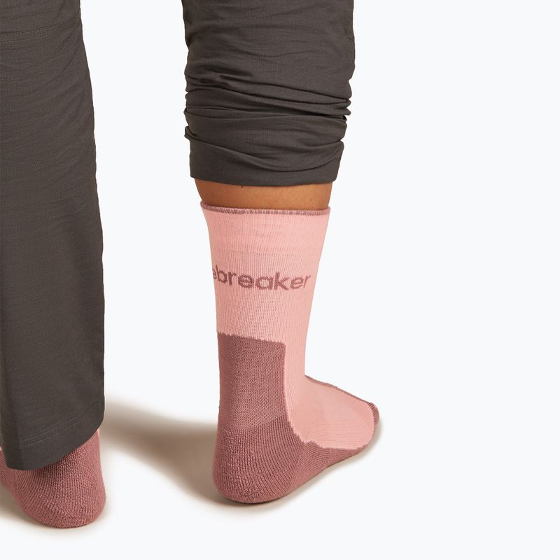 Шкарпетки жіночі icebreaker Merino Hike+ Light Crew blush/summit 5